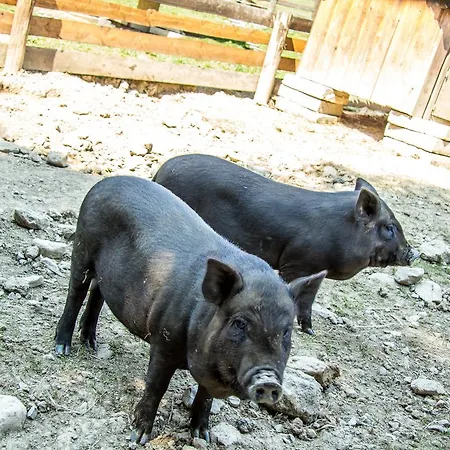 Apartahotel Salas Klak