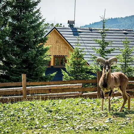 Salas Klak 3*