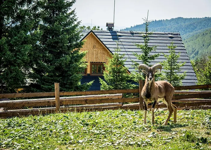 Salas Klak 3*